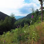 Near Alsovka Slope Medenec