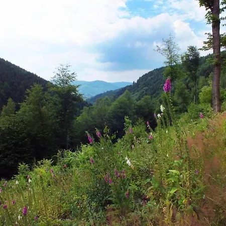 Near Alsovka Slope Medenec