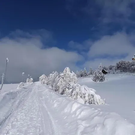Near Alsovka Slope * Medenec