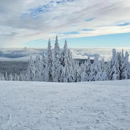 Near Alsovka Slope Medenec