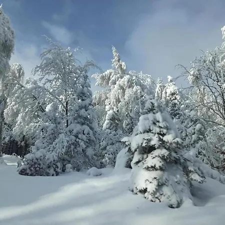 펜션 Near Alsovka Slope