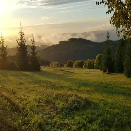 Near Alsovka Slope 펜션 *