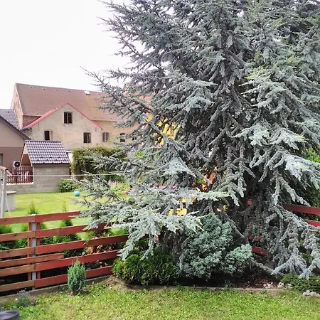 Near Alsovka Slope Medenec