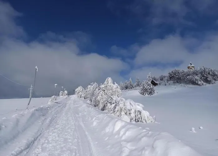 Near Alsovka Slope * Medenec