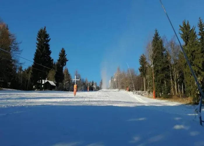 Nyaraló Near Alsovka Slope Měděnec