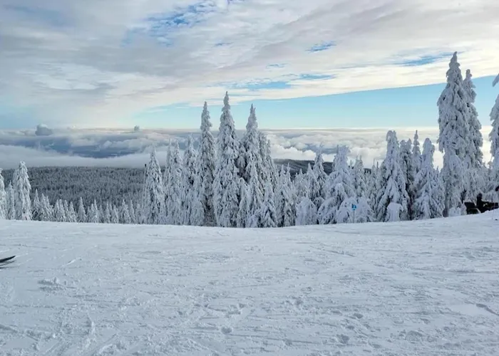 Near Alsovka Slope Medenec