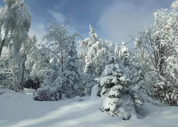Semesterbostad Near Alsovka Slope
