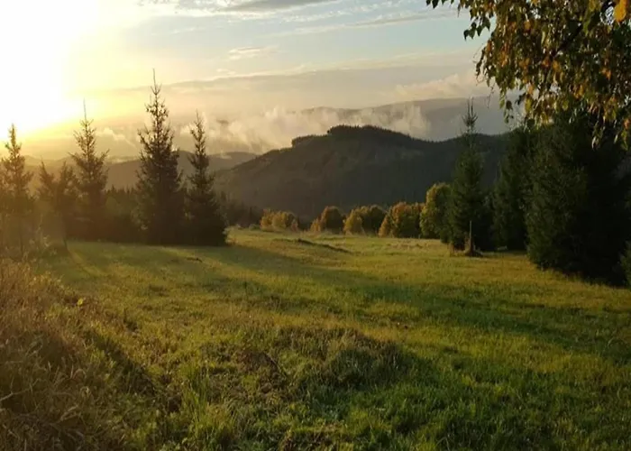 Near Alsovka Slope Nyaraló *